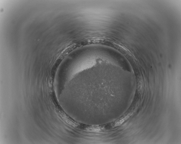 X0000061150661200511211003