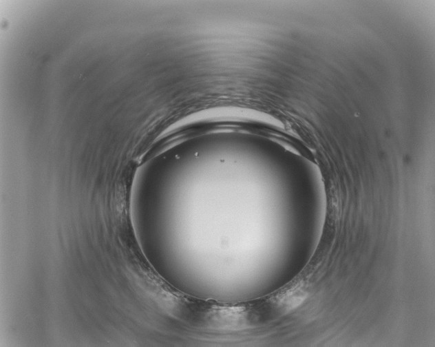 X0000061150665200511211003