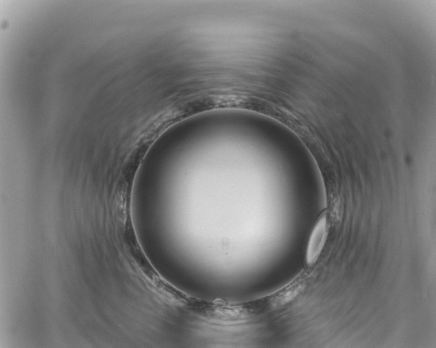 X0000061150666200511211003