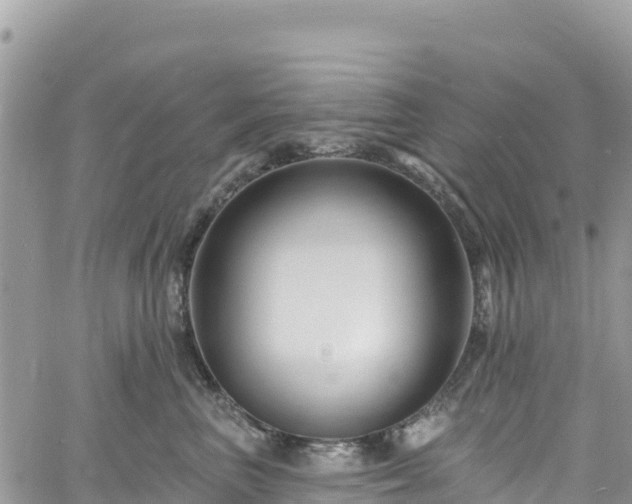 X0000061150667200511211003