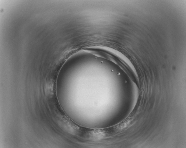 X0000061150668200511211003