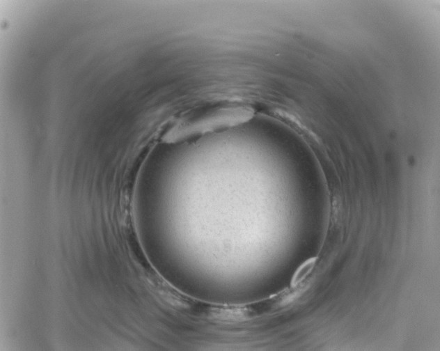 X0000061150671200511211003