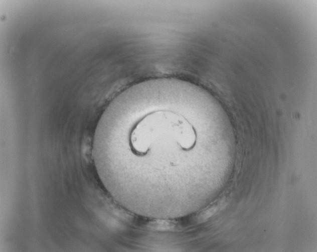 X0000061150672200511211003