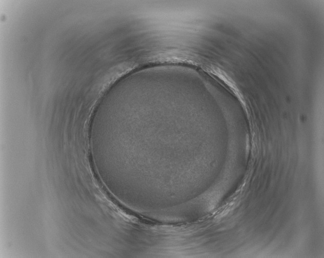 X0000061150673200511211002