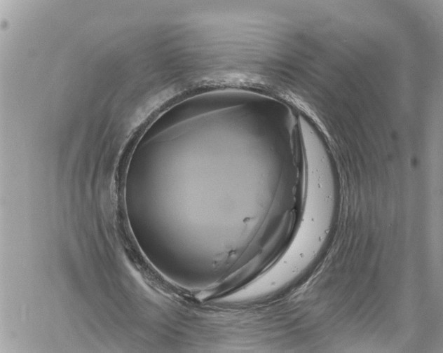 X0000061150674200511211002