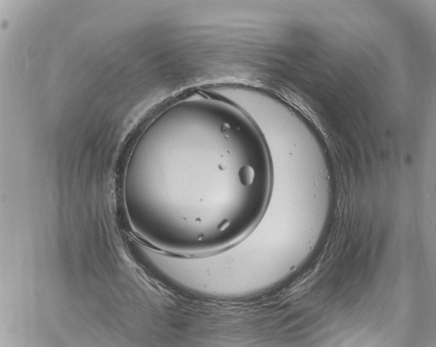 X0000061150676200511211002