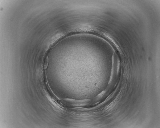 X0000061150677200511211002