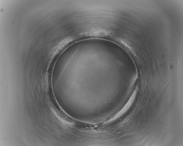 X0000061150678200511211002