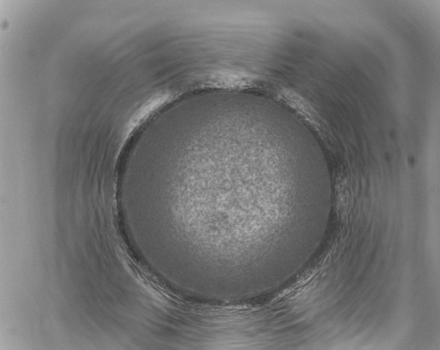 X0000061150679200511211002