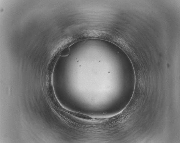 X0000061150683200511211002