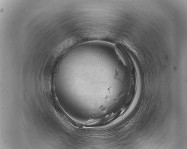 X0000061150685200511211002