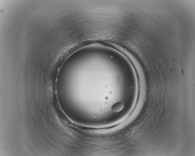 X0000061150688200511211002