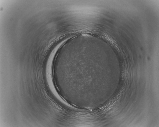 X0000061150689200511211002