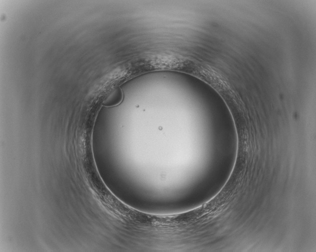 X0000061150690200511211002