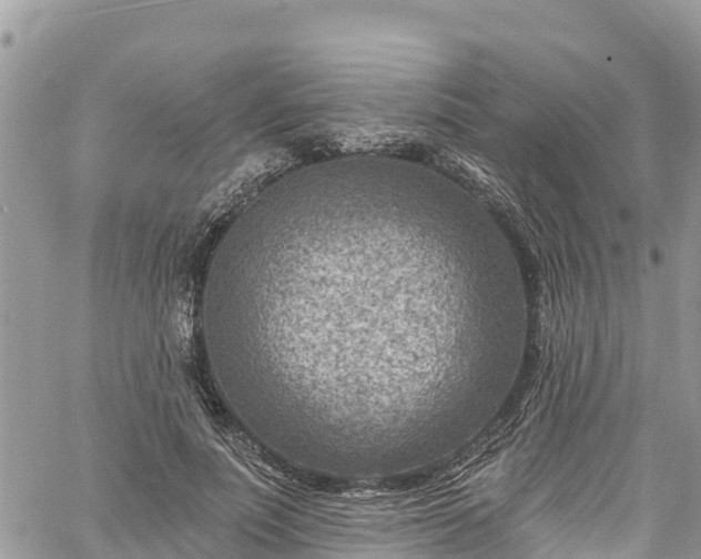 X0000061150691200511211002