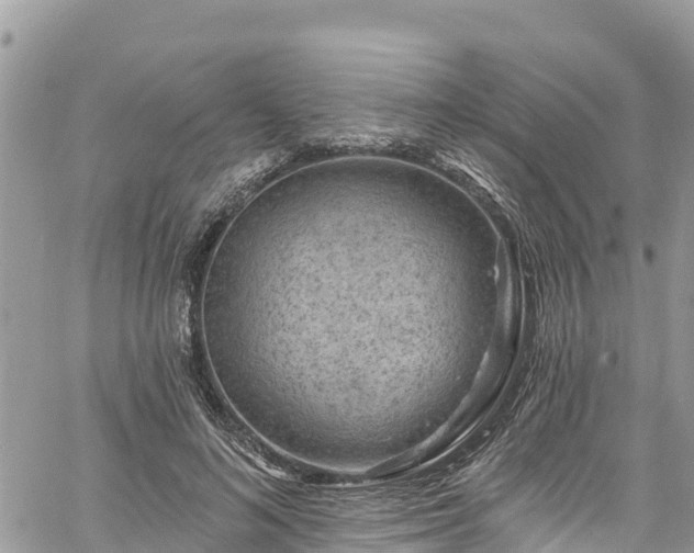 X0000061150692200511211002