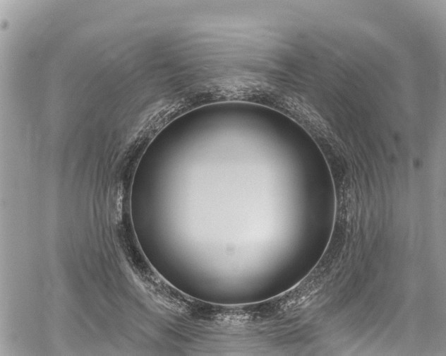 X0000061150694200511211002