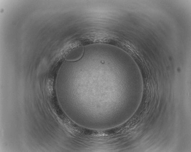 X0000061150695200511211002