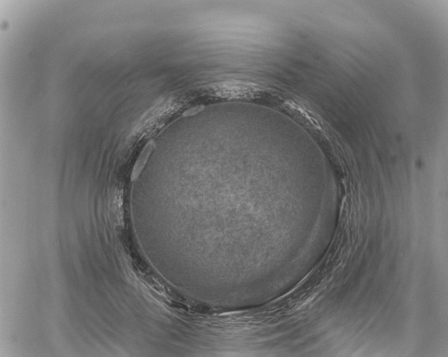 X0000061150696200511211002