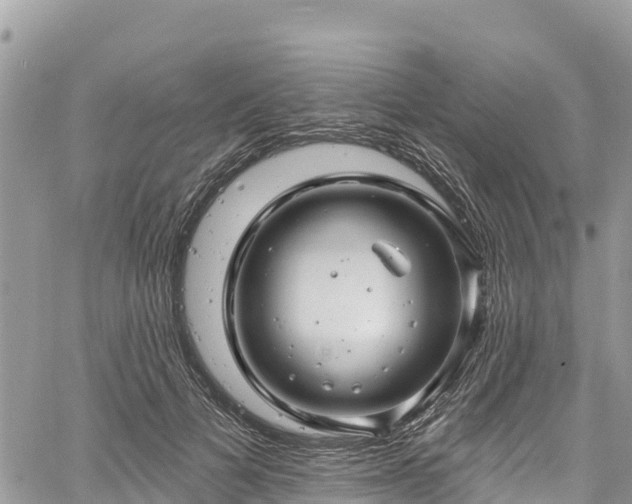 X0000061150697200511211002