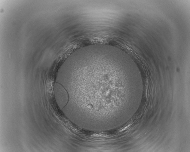 X0000061150699200511211002