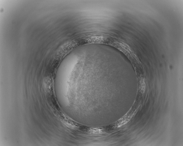 X0000061150701200511211002