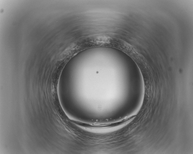 X0000061150704200511211002