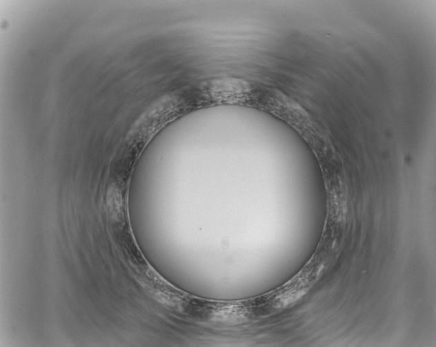 X0000061150705200511211002