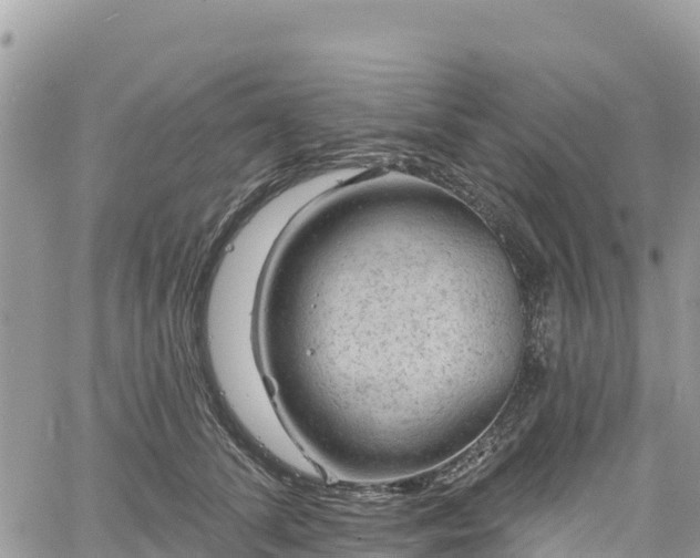 X0000061150708200511211002