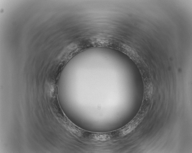 X0000061150709200511211002