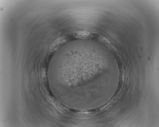 X0000061150711200511211001