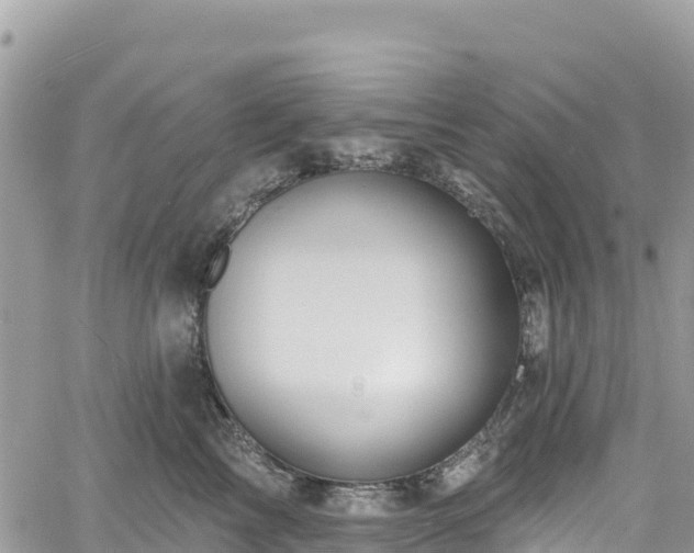 X0000061150713200511211001