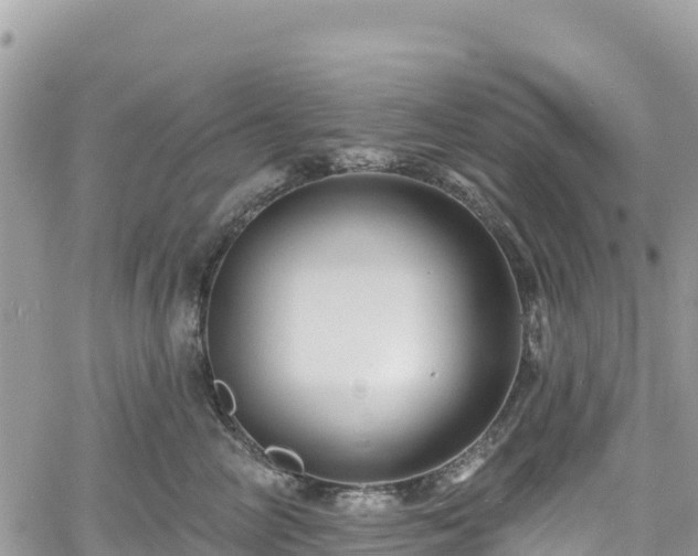 X0000061150714200511211001