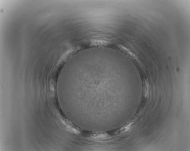 X0000061150716200511211001