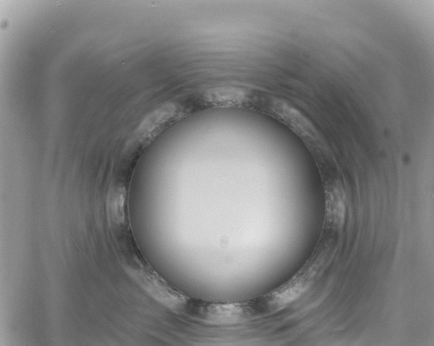 X0000061150717200511211001