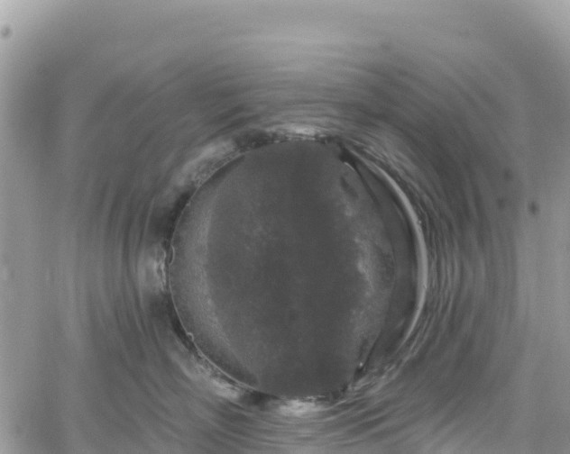 X0000061150718200511211001