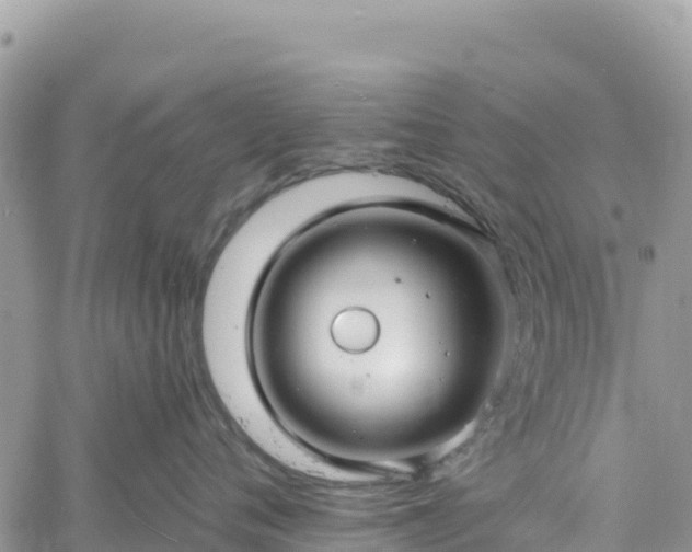 X0000061150720200511211001