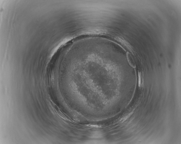 X0000061150723200511211001