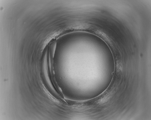 X0000061150725200511211001