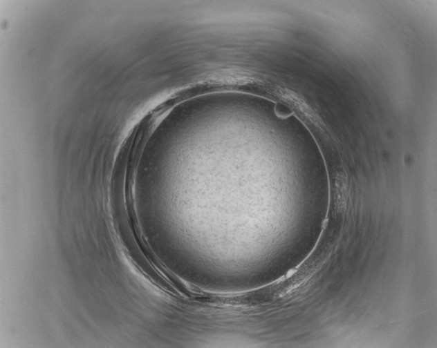 X0000061150726200511211001