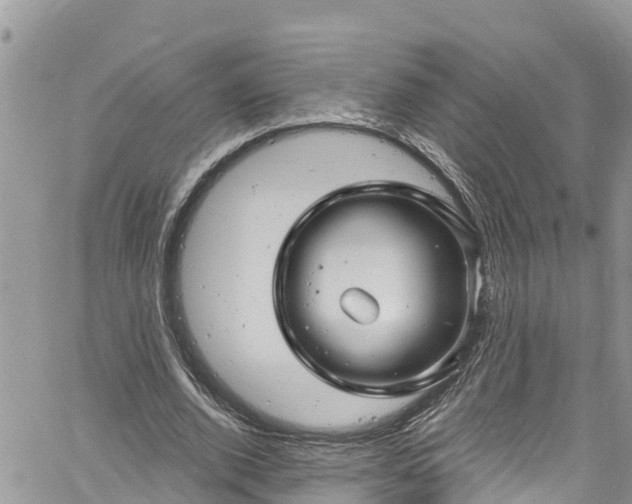 X0000061150728200511211001