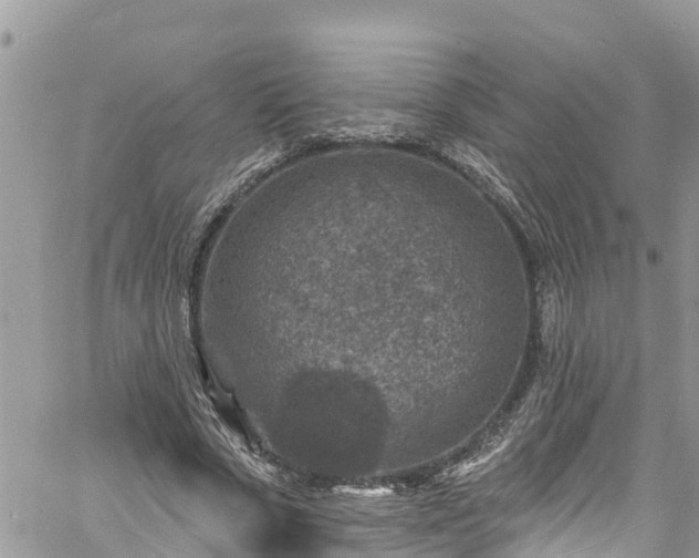 X0000061150729200511211001