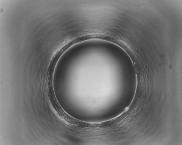 X0000061150730200511211001