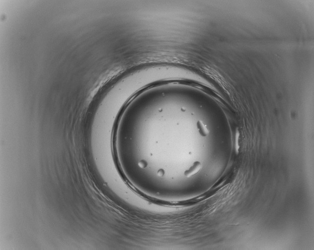 X0000061150731200511211001