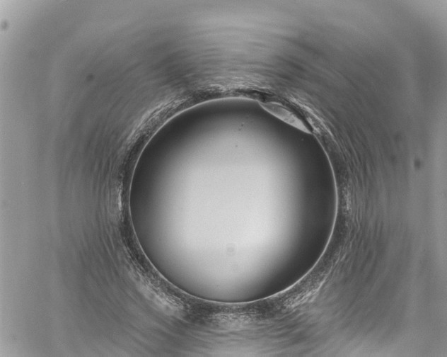 X0000061150733200511211001