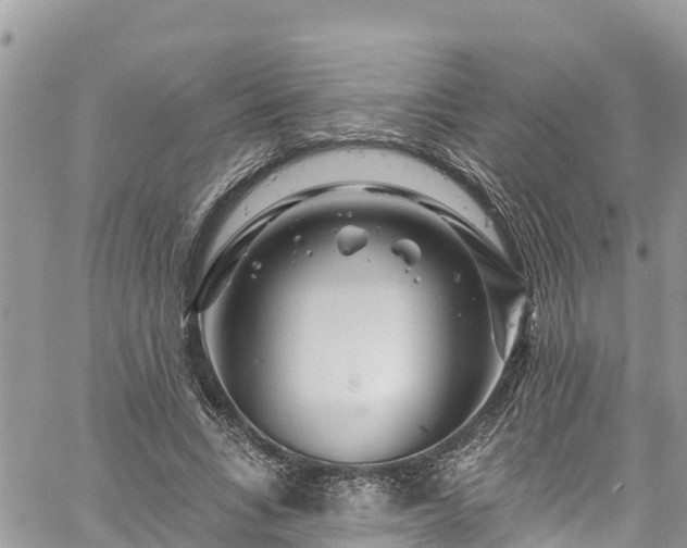 X0000061150735200511211001