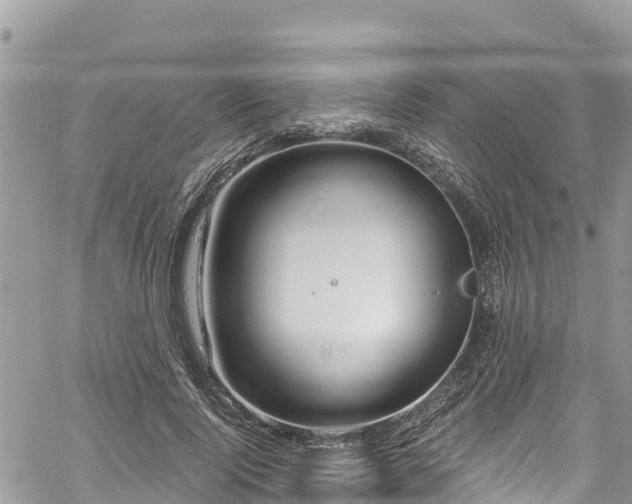 X0000061150740200511211001