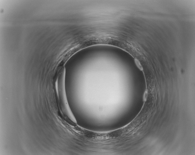 X0000061150744200511211001