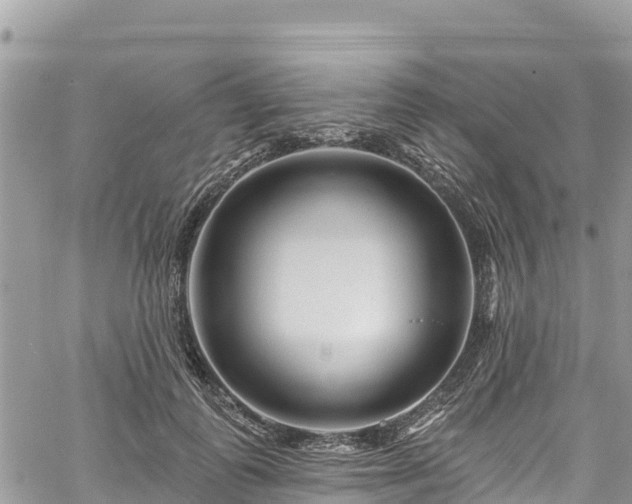 X0000061150747200511211001