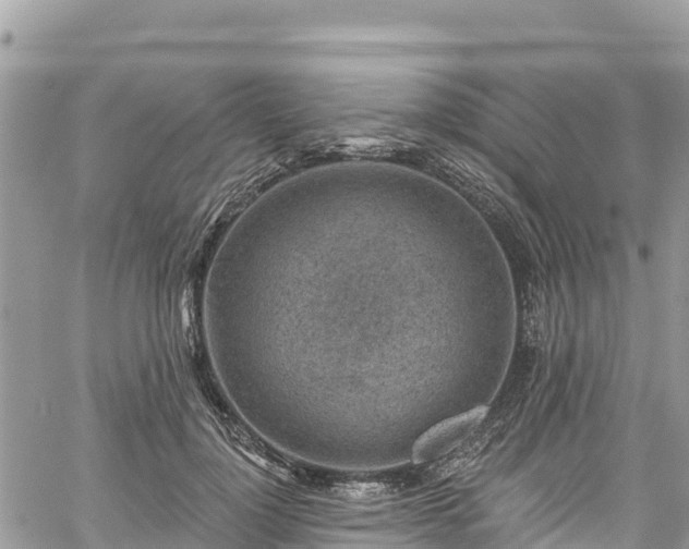 X0000061150748200511211001